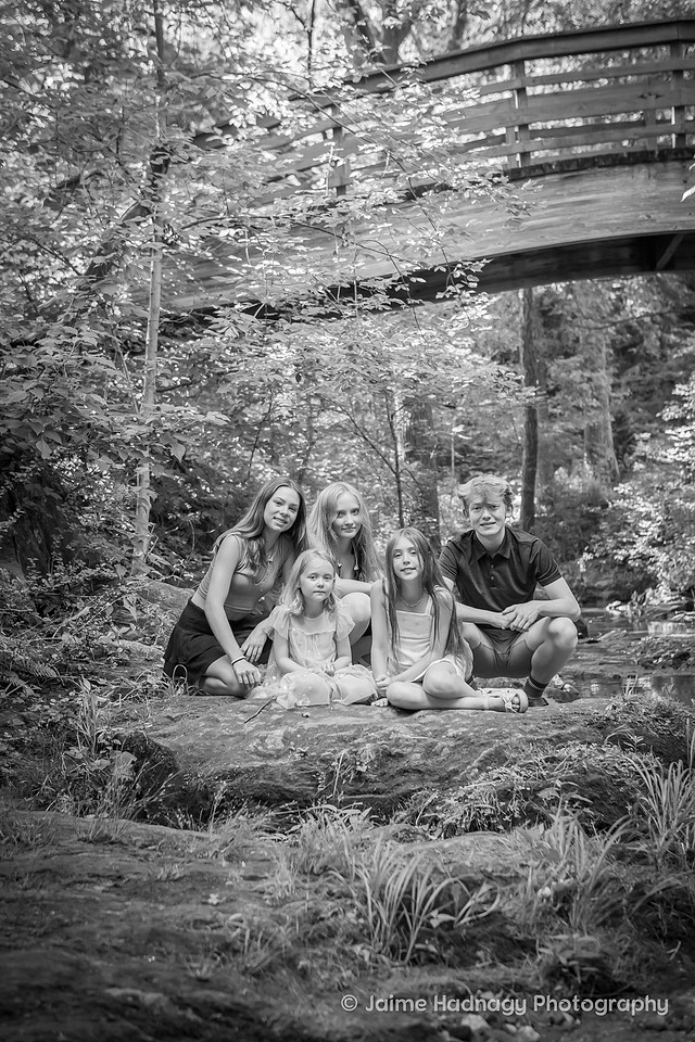 Family Reunion Photography in Asheville