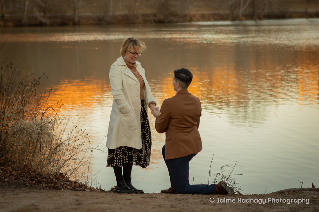 Wintertime Proposal at the Biltmore Estate | Asheville Engagement Photographer