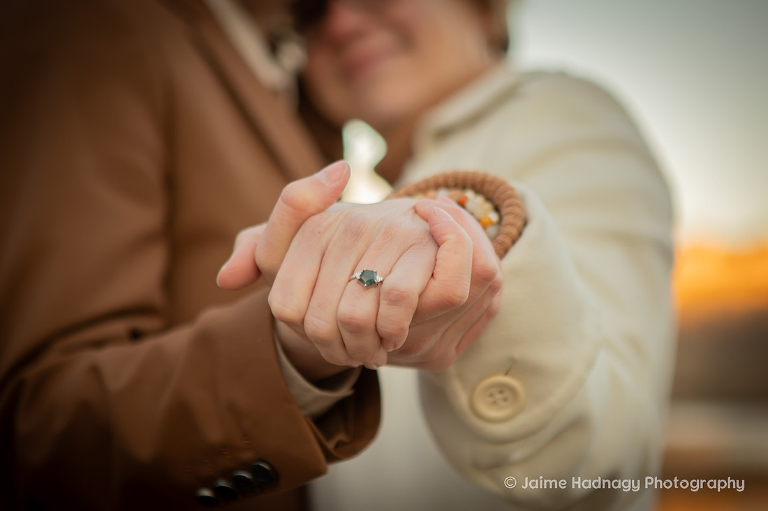 Engagement at the Biltmore Estate Lagoon | Asheville Proposal Photographer