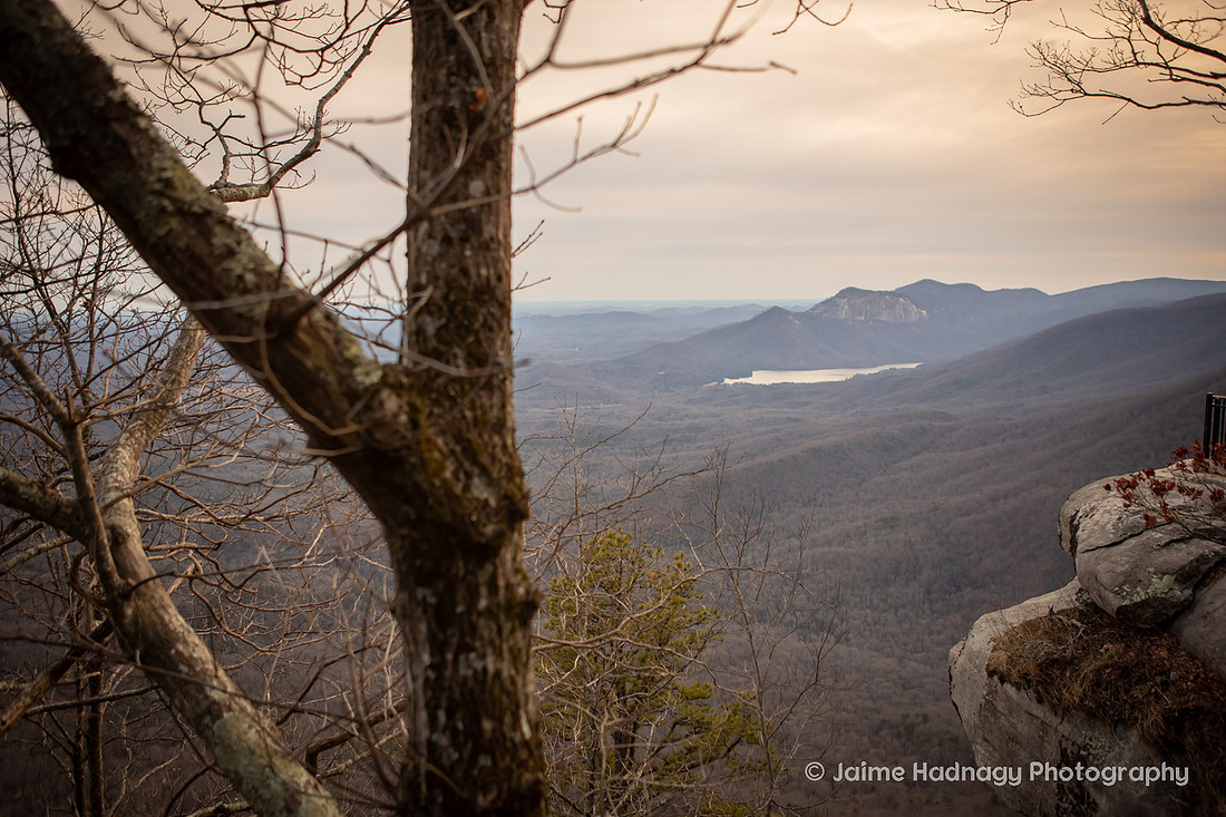 View from Caesar's Head SC