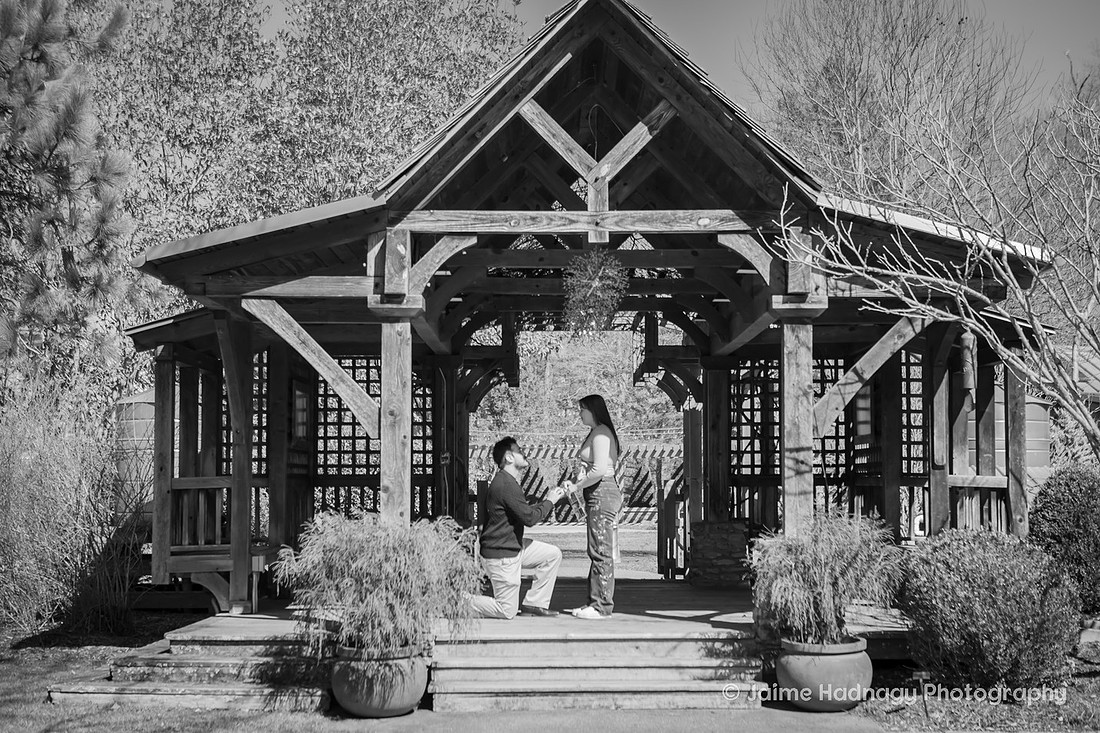 Late WInter Proposal at NC Arboretum in Asheville