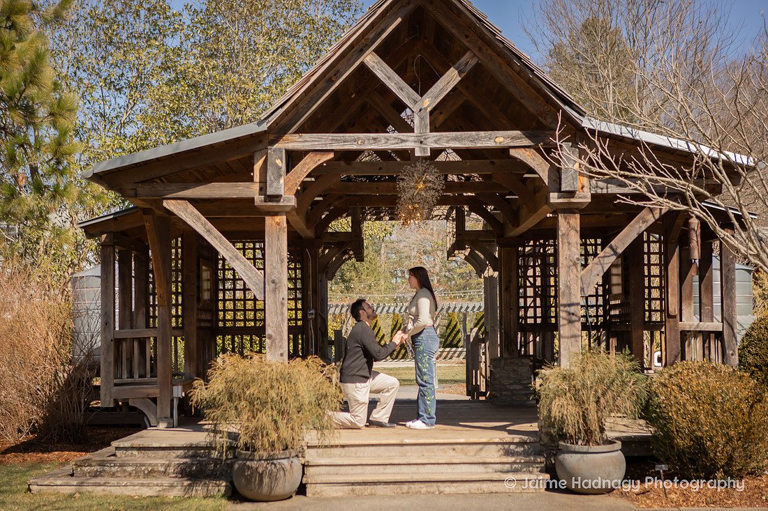 Late WInter Proposal at NC Arboretum in Asheville