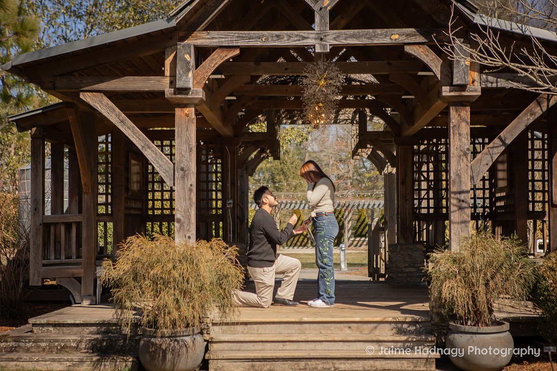 Late WInter Proposal at NC Arboretum in Asheville