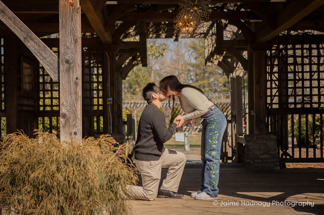 Late WInter Proposal at NC Arboretum in Asheville