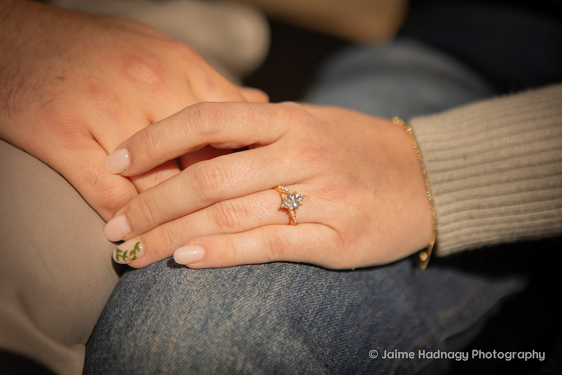 Engagement at NC Arboretum | Asheville Photographer