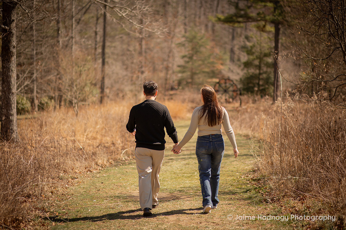Engagement at NC Arboretum | Asheville Photographer