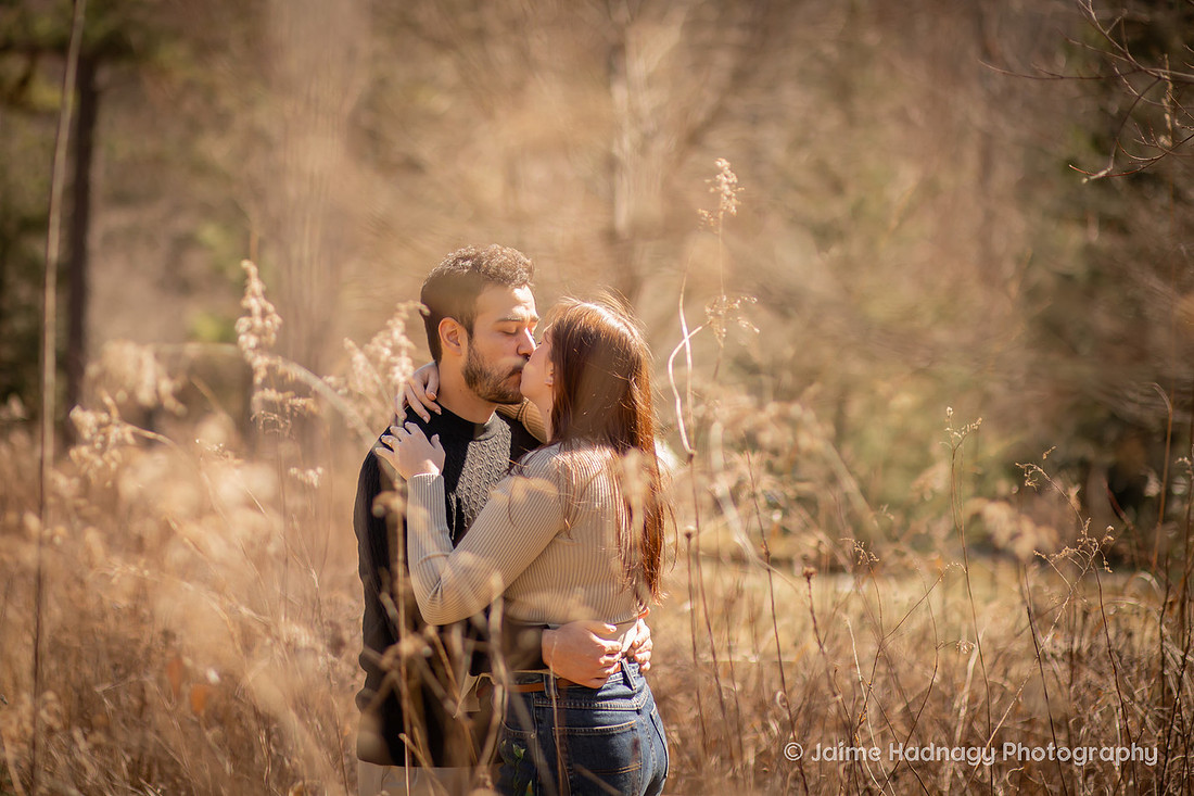 Beautiful Engagement Photos at the Arboretum in Asheville 