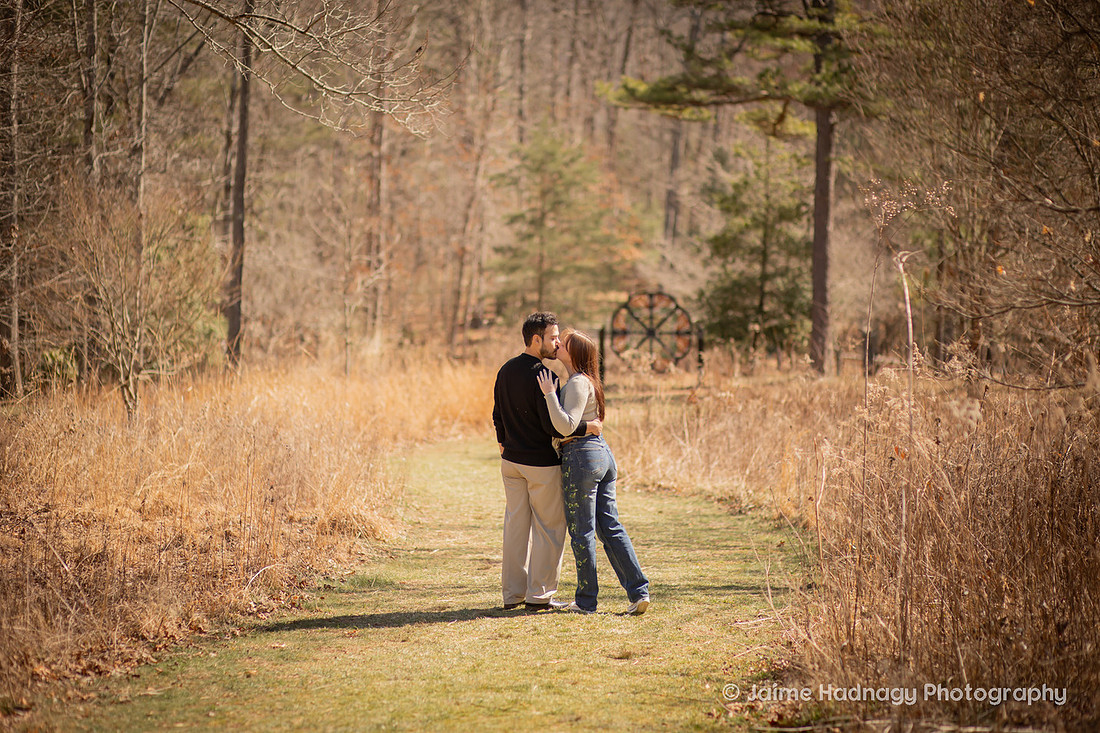 Beautiful Engagement Photos at the Arboretum in Asheville 