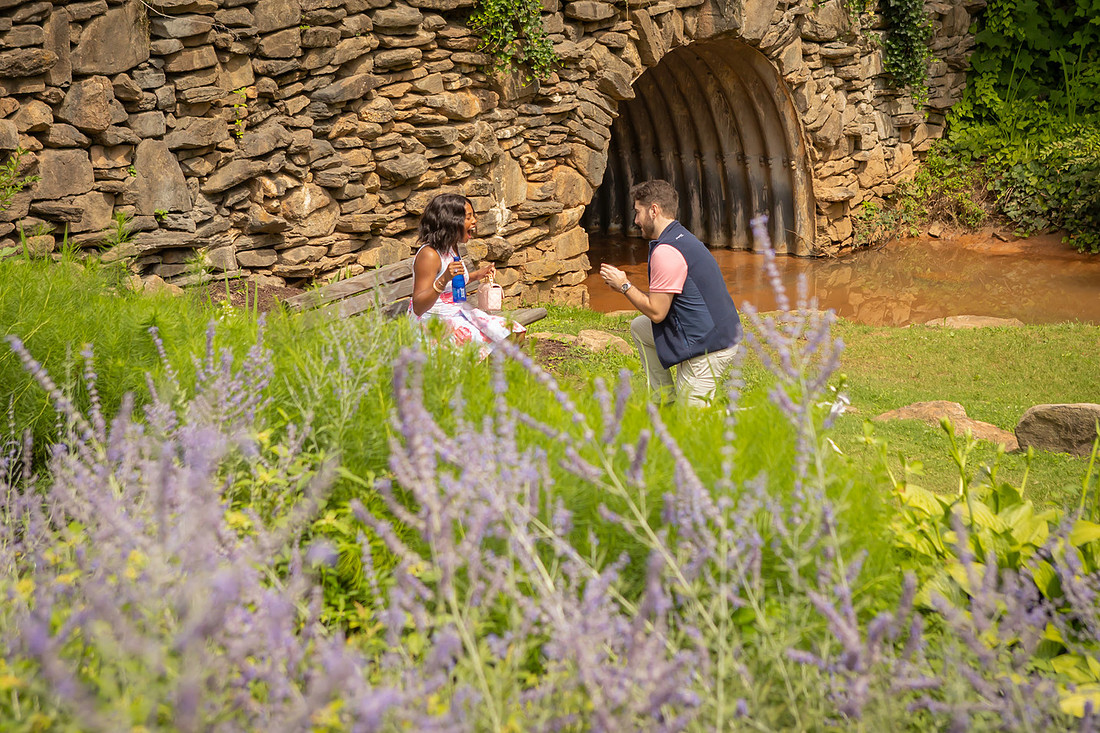 Proposal at Falls Park in Greenville SC | Engagement Photographer