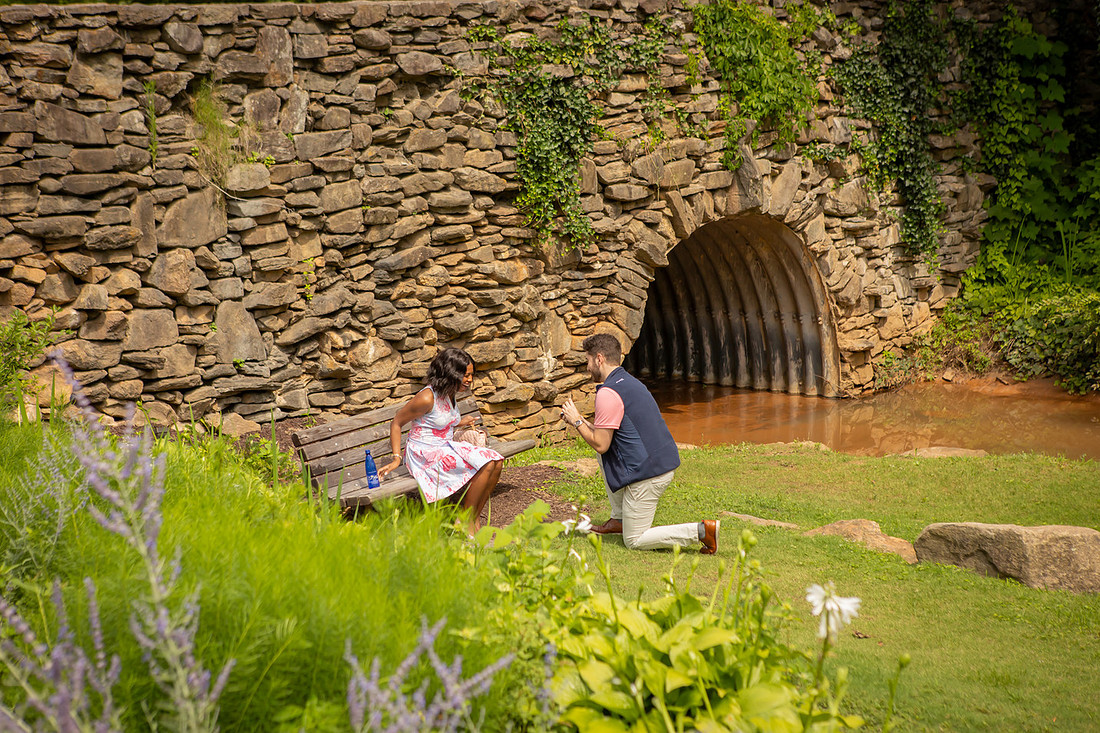 Proposal at Falls Park in Greenville SC | Engagement Photographer