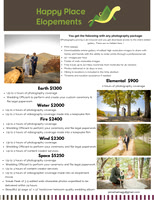 Elopement Packages