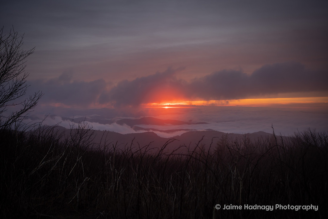 Black Balsam Sunrise
