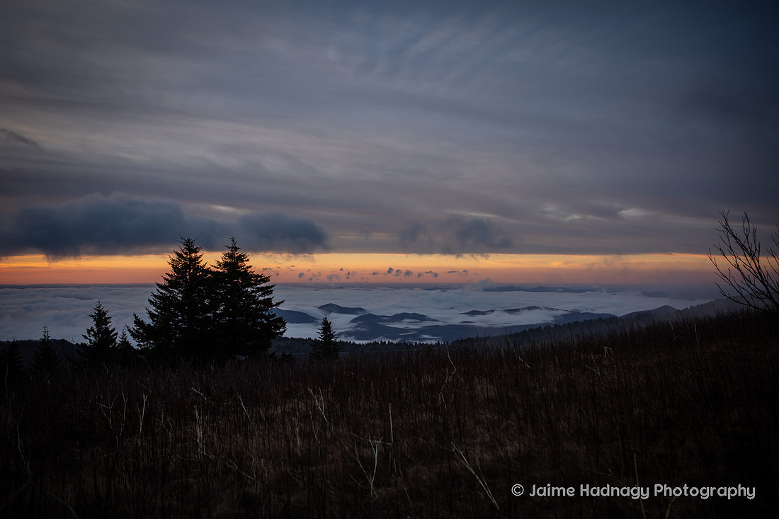Black Balsam Sunrise