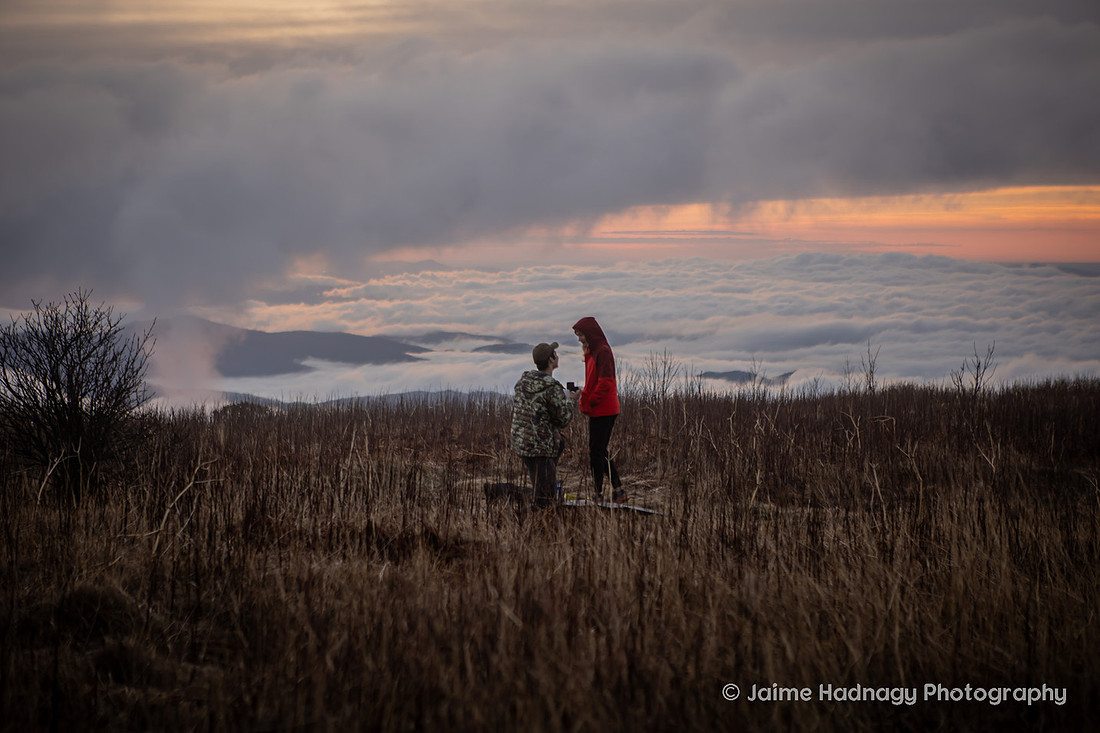 Surprise Proposal Camping in the Mountains