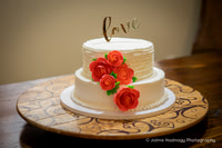 Marisol & Chris' Wedding at Logan Creek Lodge in Sapphire, NC