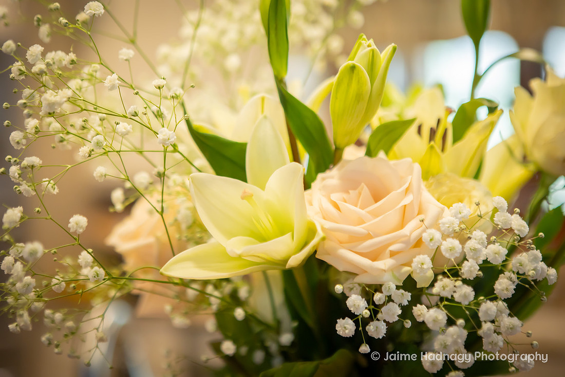 Western NC Wedding Photography