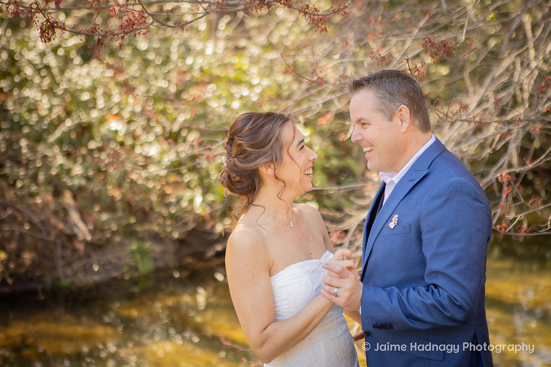 Bride and Groom Portraits | Asheville Wedding Photographer