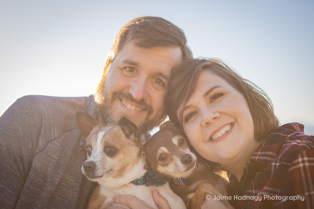 Asheville Pet Photographer | Dog Photoshoot