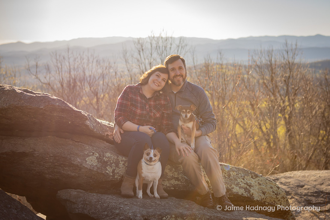 Asheville Pet Photographer | Dog Photoshoot