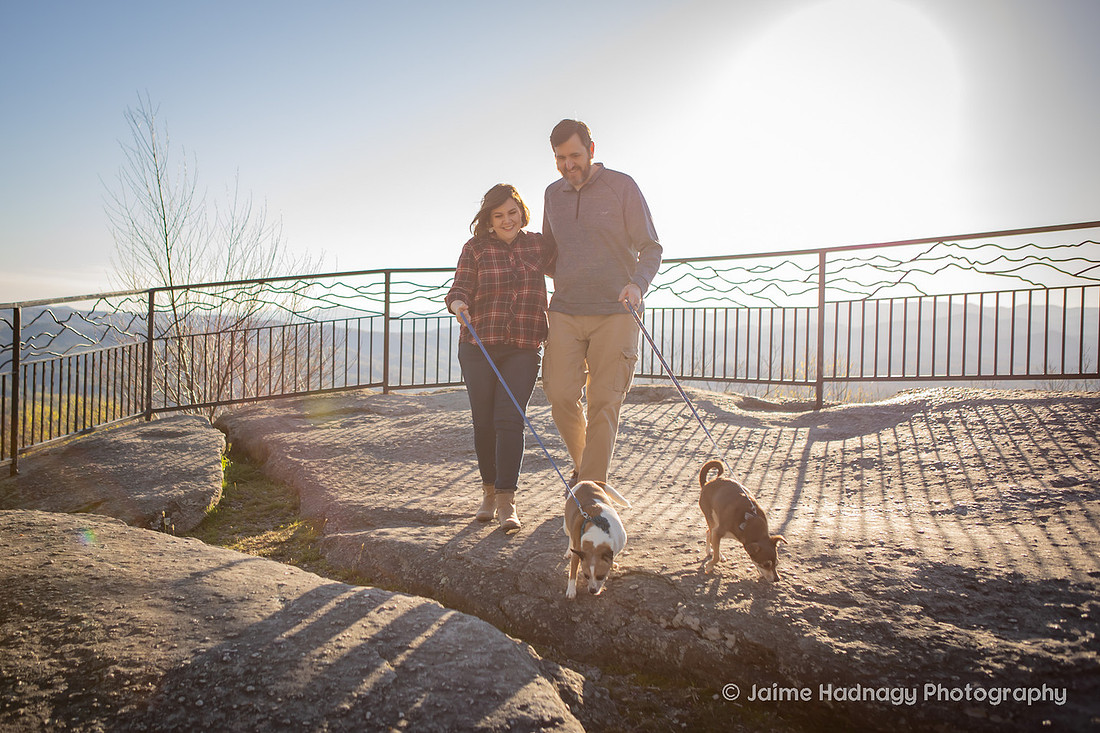 Asheville Pet Photographer | Dog Photoshoot