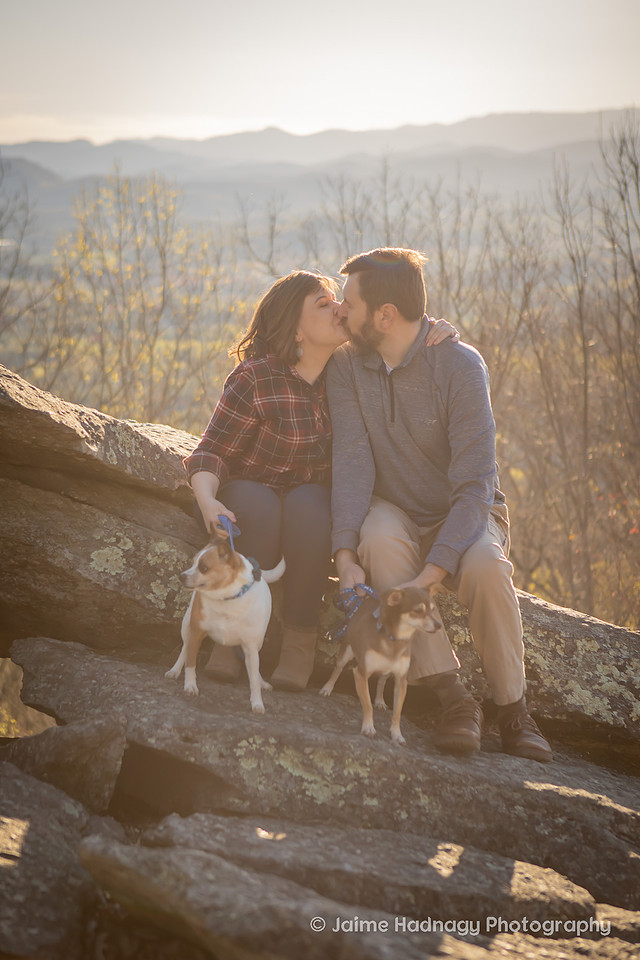 Asheville Pet Photographer | Dog Photoshoot