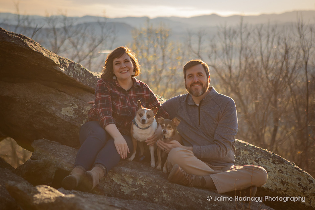 Asheville Pet Photographer | Dog Photoshoot