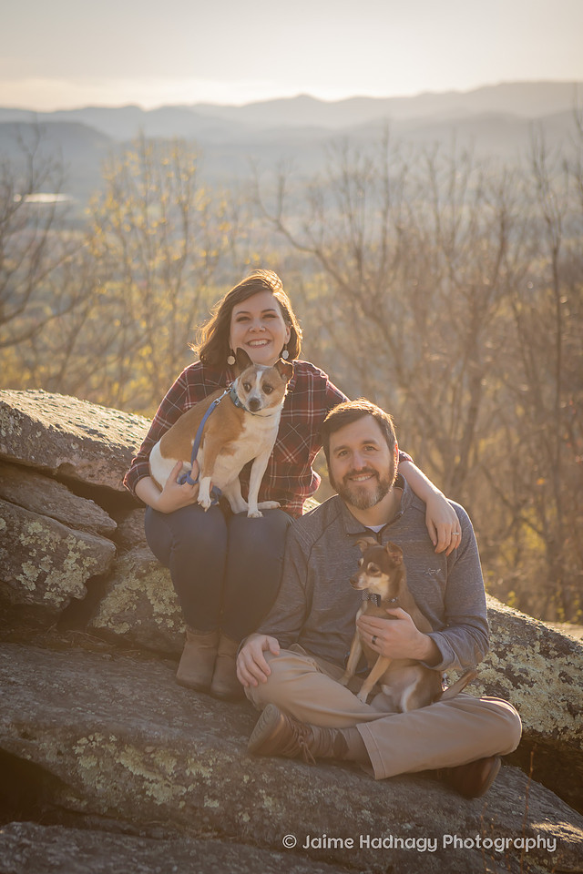 Mountain View Dog Photography Asheville