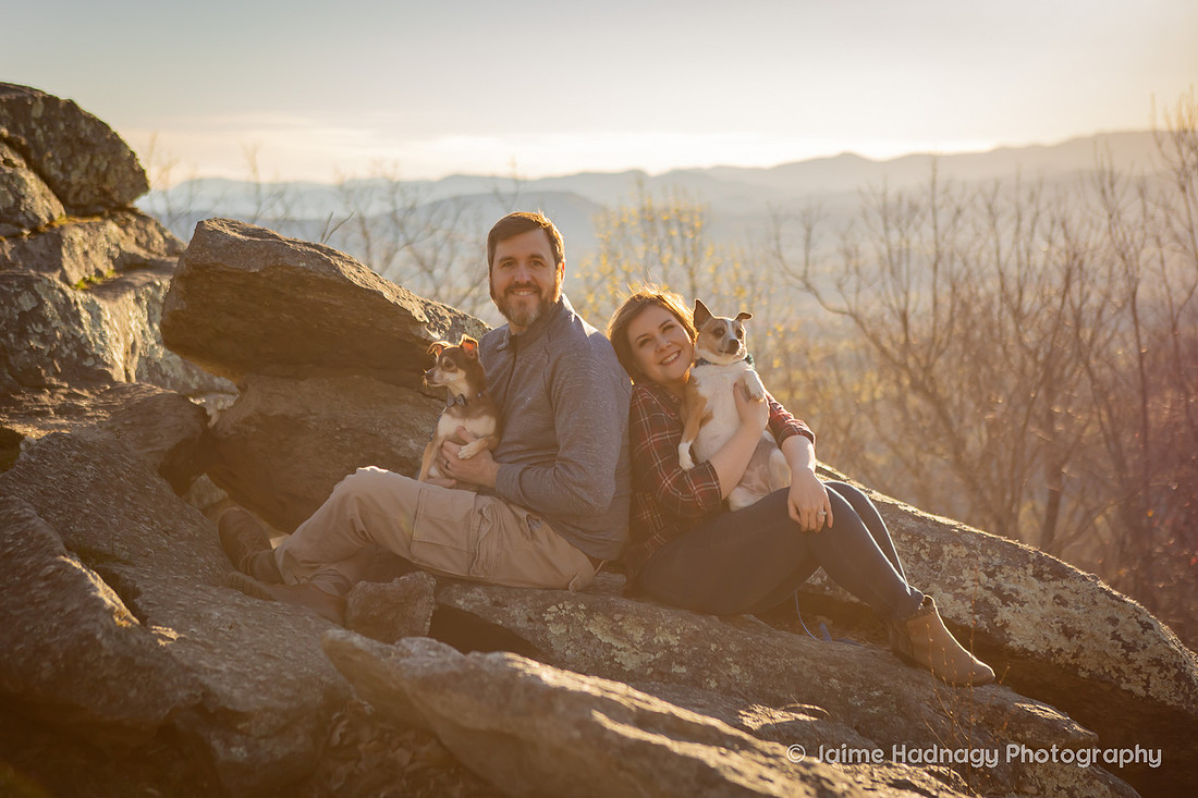 Mountain View Dog Photography Asheville