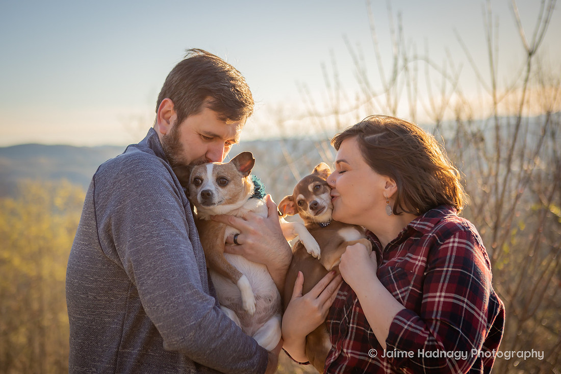 Mountain View Dog Photography Asheville