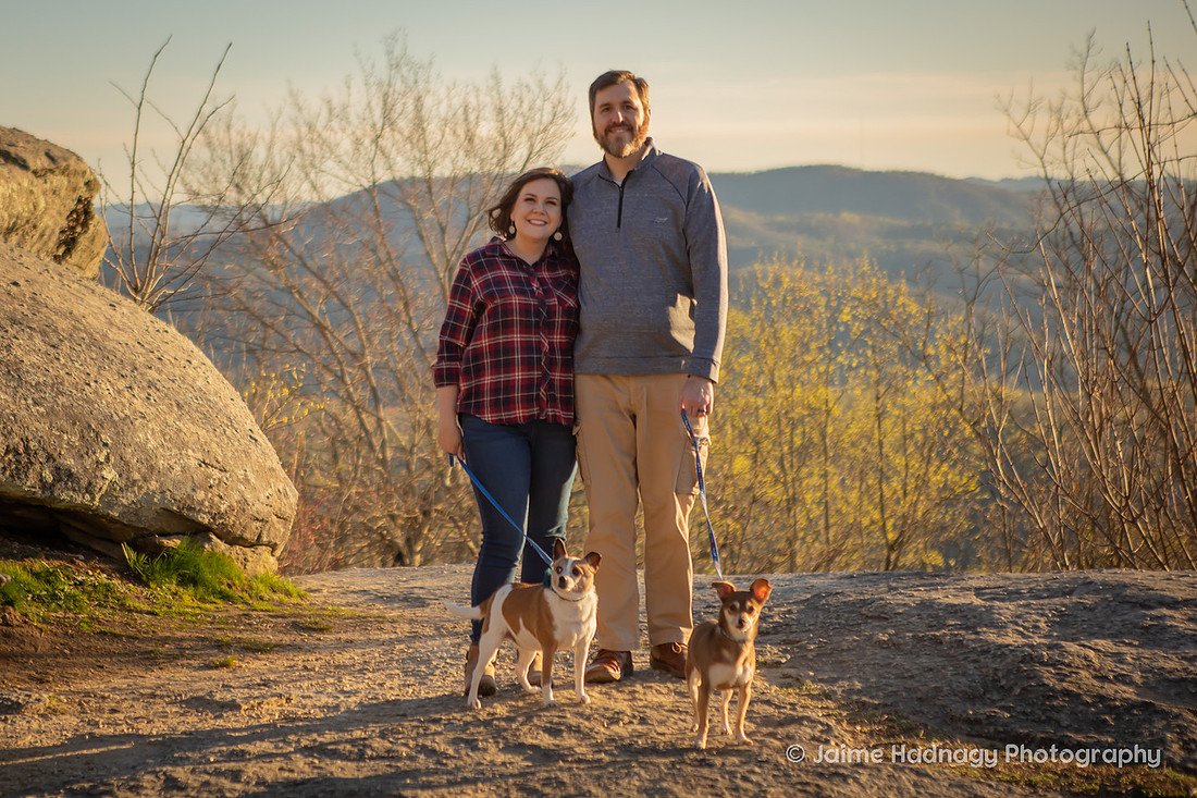 Mountain View Dog Photography Asheville