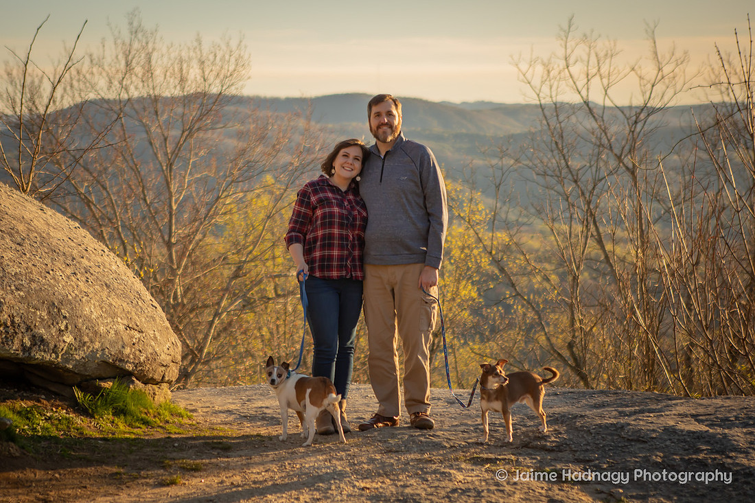 Mountain View Dog Photography Asheville