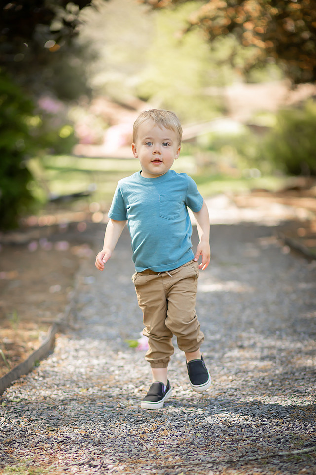 Outdoor Family Photos with Toddler and Newborn