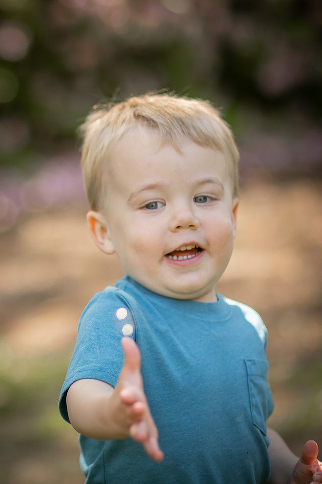 Outdoor Family Photos with Toddler and Newborn