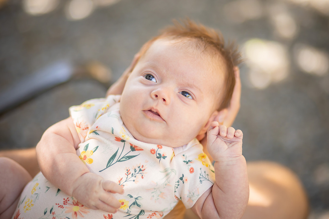 Asheville Baby Family Photographer