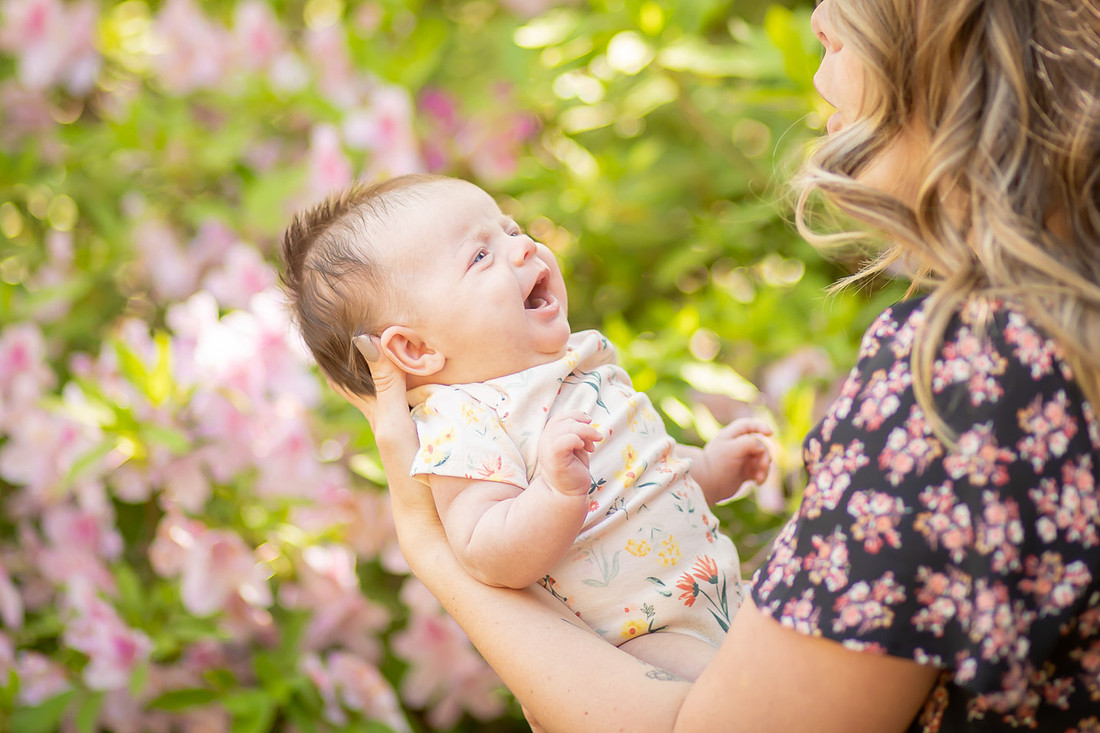 Asheville Baby Family Photographer
