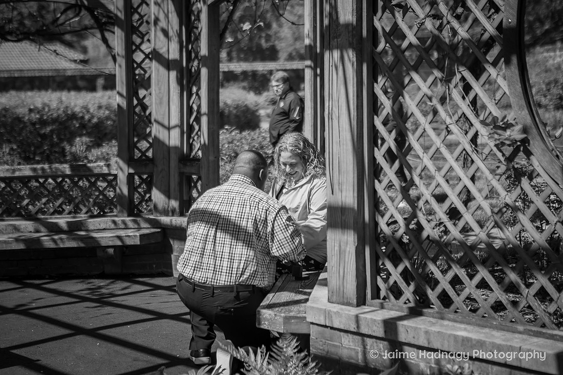 Proposal Photography