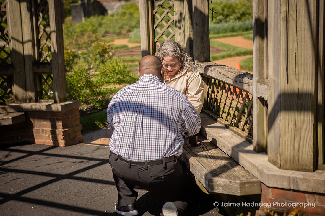 Proposing to your girlfriend at the Biltmore Estate Gardens in Springtime