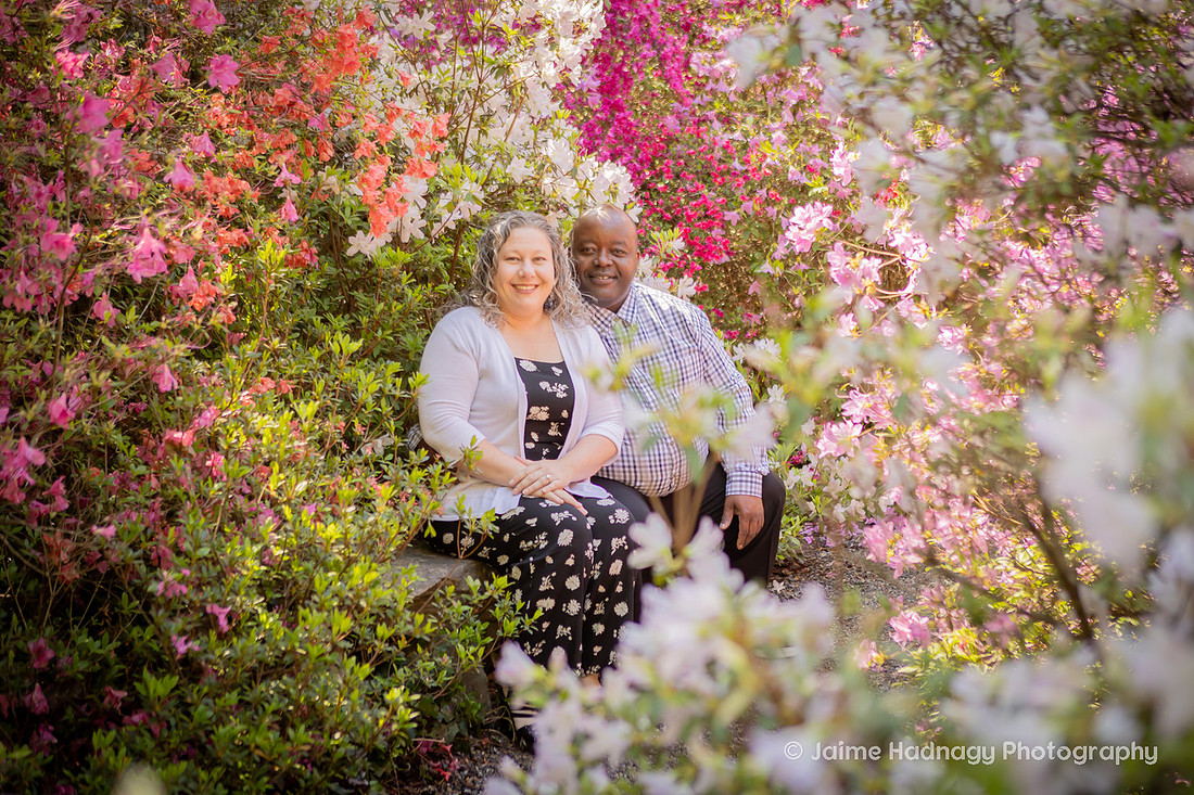 Couples Photos at the Biltmore with Azaleas IN Bloom