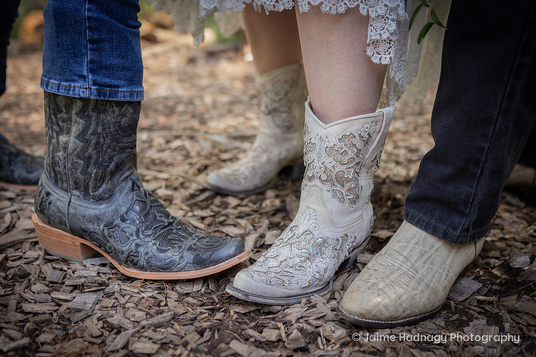 Wedding Photographer in Asheville