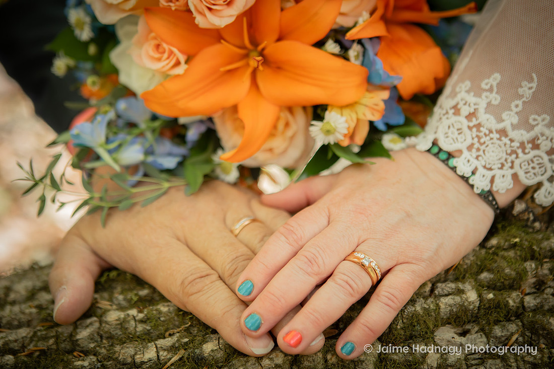 Wedding Photographer in Asheville