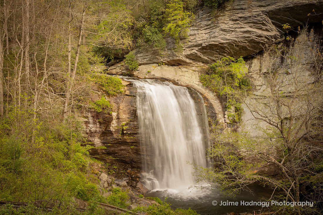 Looking Glass Falls in Pisgah Forest