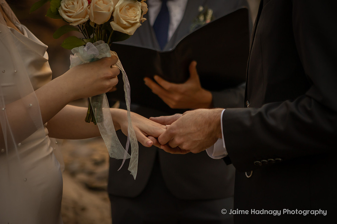 Elopement Ceremony at Looking Glass Falls | Asheville Wedding Photographer