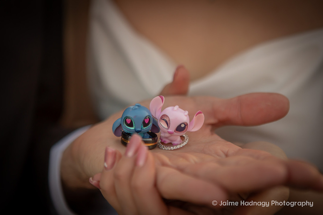 Wedding Portraits on the Blue Ridge Parkway | Asheville Elopement Photographer