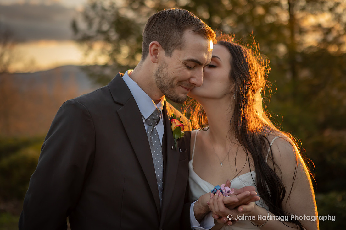Wedding Portraits on the Blue Ridge Parkway | Asheville Elopement Photographer