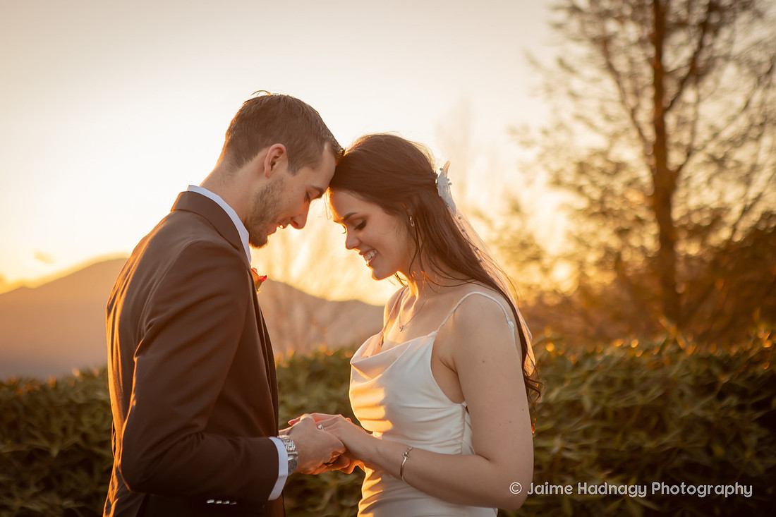 Wedding Portraits on the Blue Ridge Parkway | Asheville Elopement Photographer
