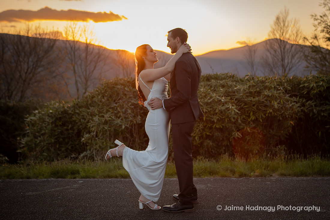 Wedding Portraits on the Blue Ridge Parkway | Asheville Elopement Photographer