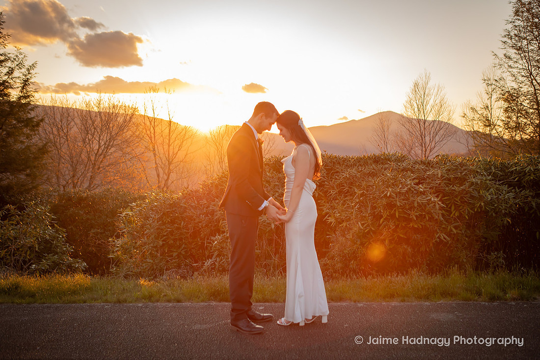Wedding Portraits on the Blue Ridge Parkway | Asheville Elopement Photographer