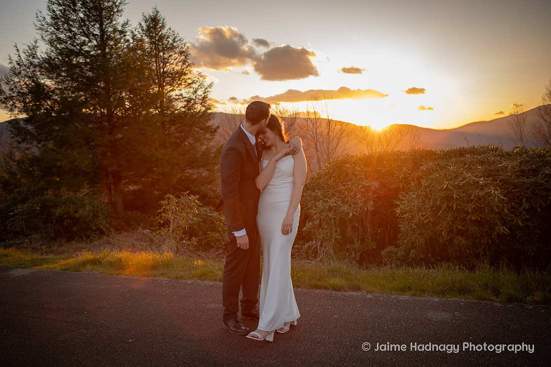 Wedding Portraits on the Blue Ridge Parkway | Asheville Elopement Photographer