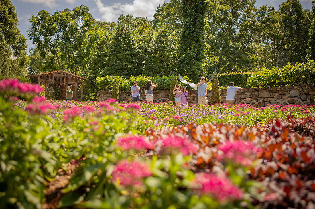 Surprise Proposal Photography at NC Arboretum