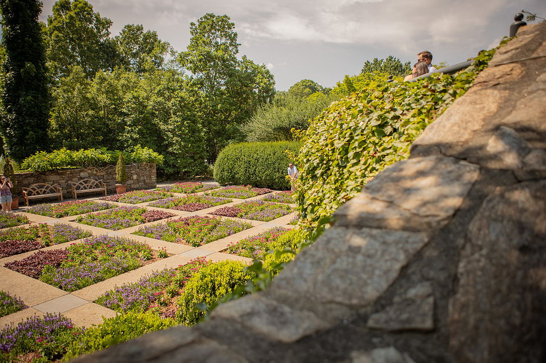 Surprise Proposal Photography at NC Arboretum